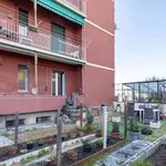 Rent 3 bedroom apartment in genoa