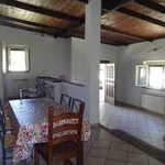 Rent 3 bedroom house of 75 m² in Roma