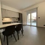 Rent 2 bedroom apartment of 45 m² in Turin