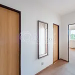 Rent 1 bedroom apartment of 42 m² in Capital City of Prague