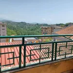 Rent 2 bedroom apartment of 50 m² in Frosinone