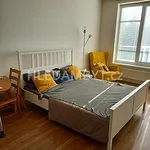 Pronajměte si 1 ložnic/e byt o rozloze 29 m² v Capital City of Prague