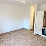 Miete 1 Schlafzimmer wohnung von 28 m² in Graz