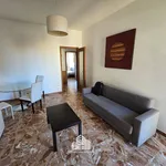 Rent 3 bedroom apartment of 60 m² in Bra