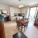 Rent 2 bedroom apartment of 50 m² in Roma