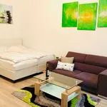 Miete 1 Schlafzimmer wohnung von 40 m² in Vienna