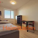 Rent 3 bedroom apartment of 44 m² in Plzeň