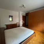 Rent 4 bedroom apartment in Padova