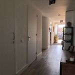 Huur 3 slaapkamer appartement van 125 m² in Overstad