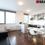 Rent 2 bedroom apartment of 58 m² in Brno