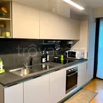 Rent 2 bedroom apartment of 60 m² in Milano