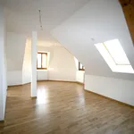 Rent 4 bedroom apartment in  Suisse