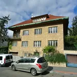 Rent 4 bedroom apartment of 160 m² in Prague