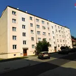 Rent 2 bedroom apartment of 52 m² in Cheb