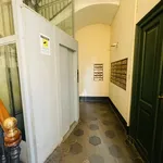 Rent 1 bedroom apartment of 20 m² in Turin