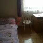 Rent 1 bedroom apartment in Pilsen