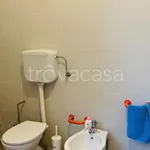 Rent 1 bedroom apartment of 35 m² in Brescia