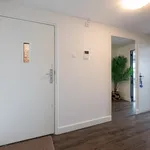 Huur 3 slaapkamer appartement van 85 m² in Struisenburg