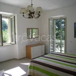 Rent 2 bedroom apartment of 60 m² in Frosinone