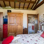 Rent 3 bedroom house of 80 m² in Montalto di Castro