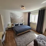 Rent 1 bedroom apartment of 56 m² in Kaiserslautern