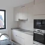 Rent 2 bedroom apartment in Wetteren