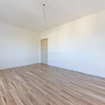 Rent 3 bedroom apartment in Budapest