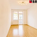 Rent 2 bedroom apartment of 45 m² in Brno