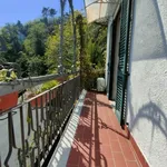 Rent 7 bedroom house of 255 m² in La Spezia