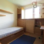 Rent 4 bedroom apartment of 84 m² in Łódź