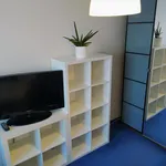 Rent a room of 80 m² in Prague