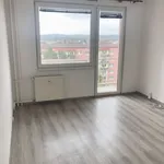 Pronajměte si 1 ložnic/e byt o rozloze 40 m² v České Budějovice