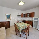 Rent 2 bedroom apartment of 50 m² in Frosinone