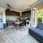 Rent 3 bedroom apartment of 54 m² in Toulouse