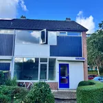 Rent 1 bedroom house of 17 m² in Groningen