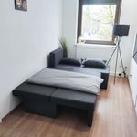Rent 4 bedroom apartment of 76 m² in Stuttgart