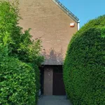 Rent 3 bedroom house of 250 m² in Ottignies-Louvain-la-Neuve