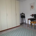 Rent 4 bedroom apartment of 110 m² in Segrate