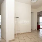 Rent 3 bedroom apartment of 70 m² in Turin