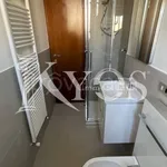 Rent 1 bedroom apartment of 30 m² in Milano