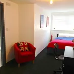 Rent 1 bedroom apartment in Exeter