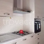 Rent 4 bedroom apartment of 100 m² in Isernia