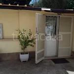 Rent 2 bedroom apartment of 40 m² in Roma