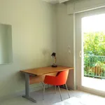 Maison de 15 m² avec 1 chambre(s) en location à Albi