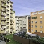 Rent 1 bedroom apartment in Milan