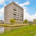 Apartment for rent in Brandaris 4 , 2134XT, Hoofddorp, Netherlands