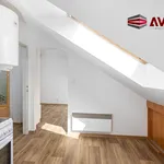 Rent 1 bedroom apartment in Opava