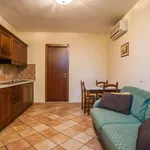 Rent 1 bedroom apartment in rome