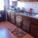 Rent 3 bedroom apartment of 110 m² in Roma