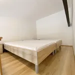 Rent 1 bedroom apartment in Brno